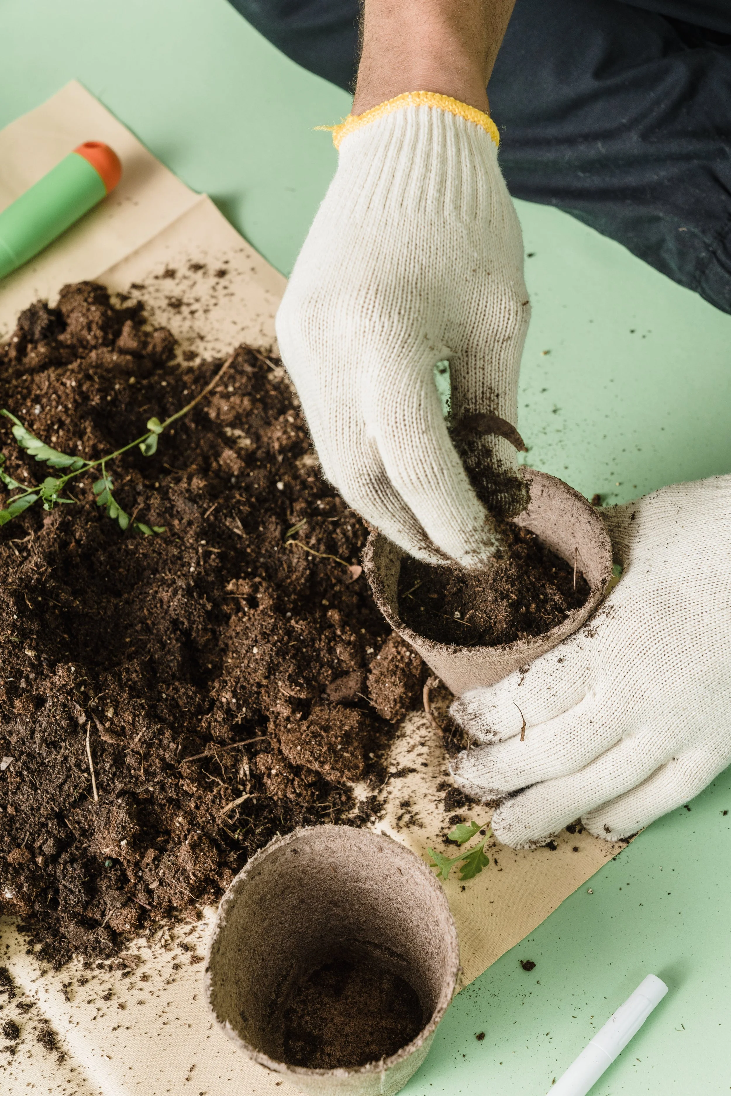 Mushroom Compost